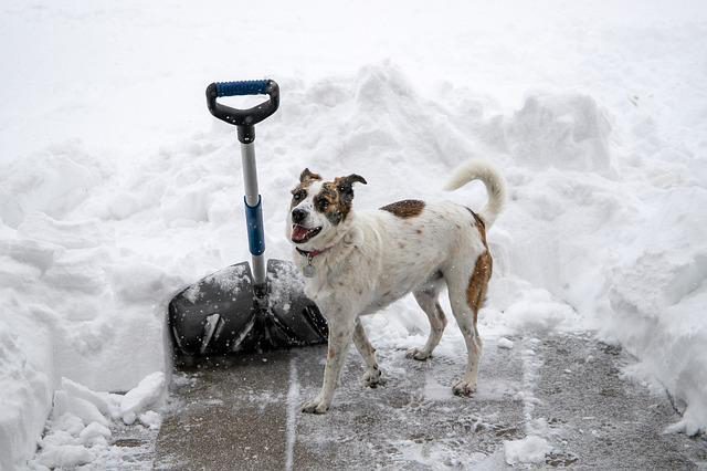 snow-shovel